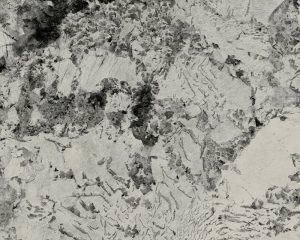 BL88201IS