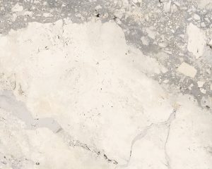 BL88204IS