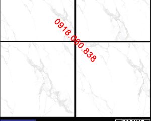 TGB80-0225/PGM60-0225