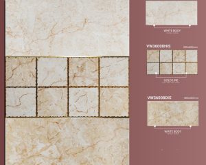 VW36008LIS-VW36008HIS-VW36008DIS