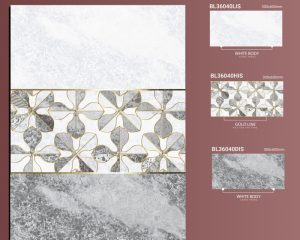 BL36040Lis-BL36040His-BL36040dis