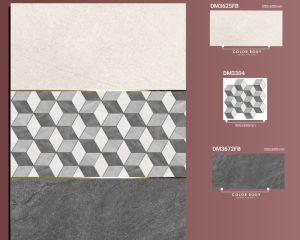 DM3625F-DM3672FB-DM3304