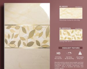 BL48005 and BL48004HGL