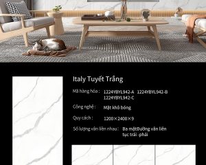 1224YBYL942