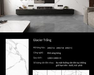 boride 24917