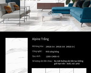 boride 24918