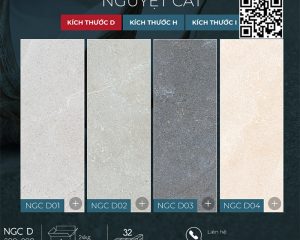 BST nguyet cat