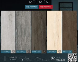 BST MOC MIEN Mmi