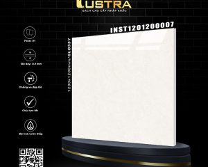 INST1201200007