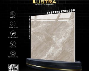 INST1201200008