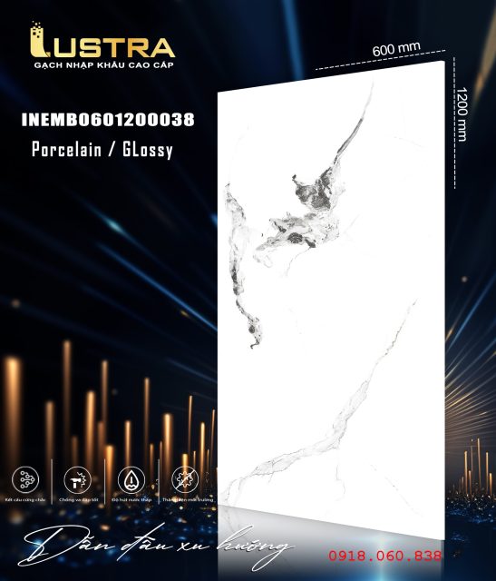INEMB0601200038