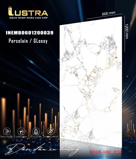 INEMB0601200039