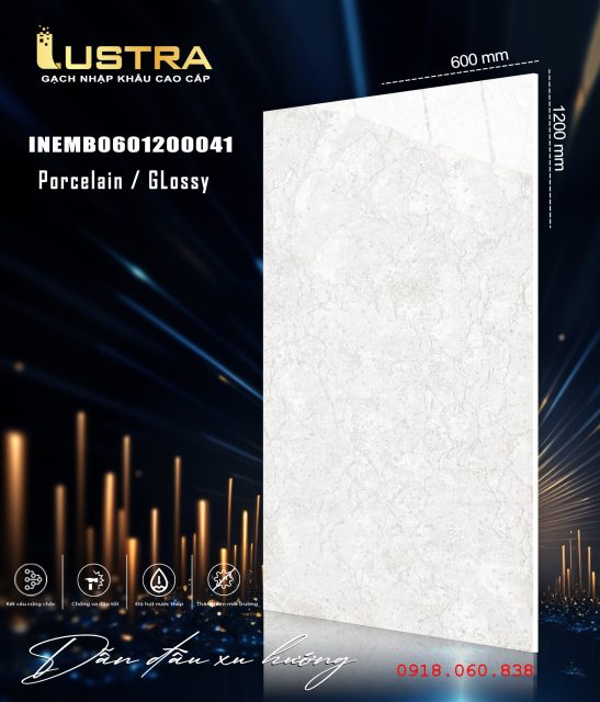 INEMB0601200041