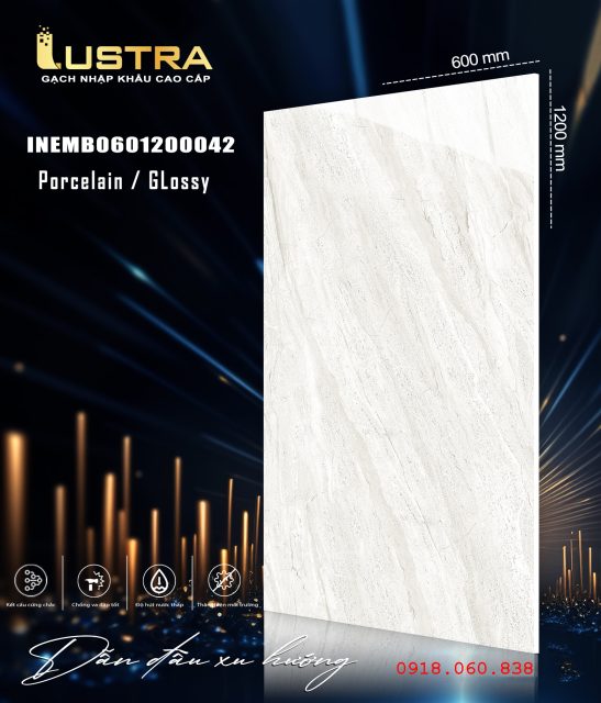 INEMB0601200042