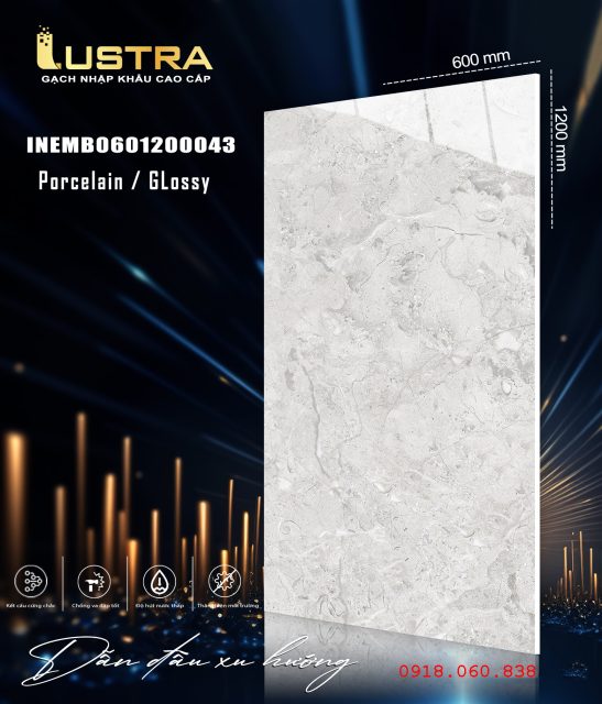 INEMB0601200043