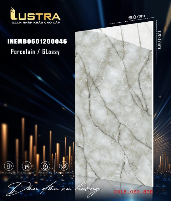 INEMB0601200046
