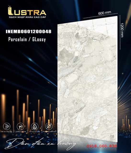 INEMB0601200048