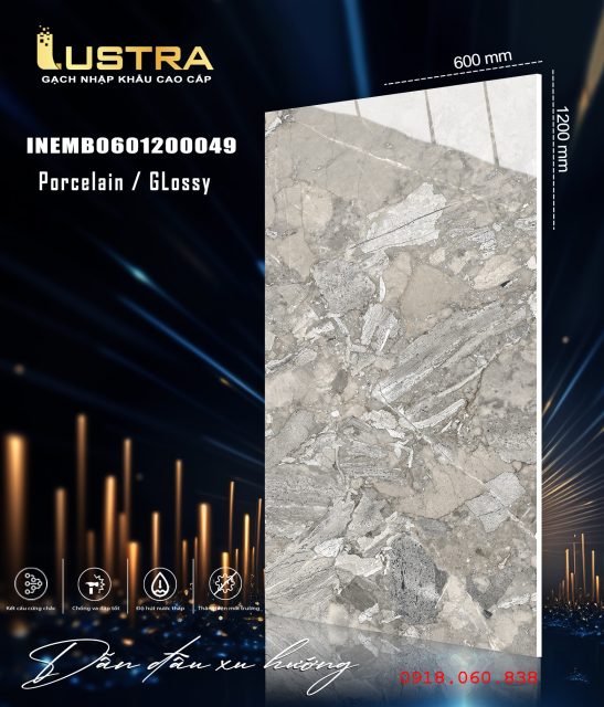 INEMB0601200049