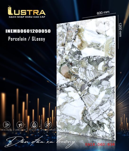 INEMB0601200050