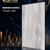 INEMB0601200063