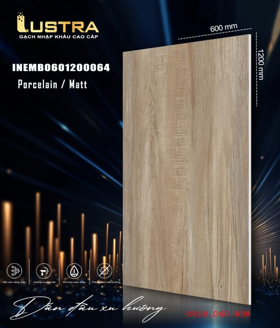 INEMB0601200064