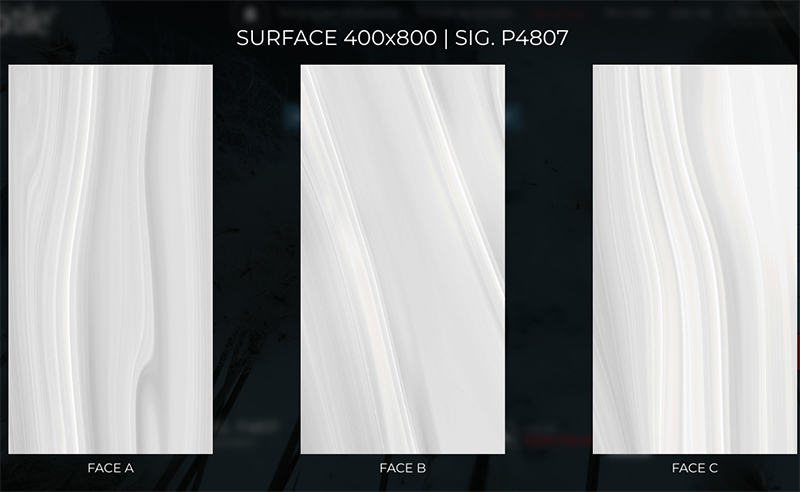 SIG P4807 SIG P4807