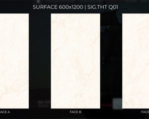 SIG-THT Q01