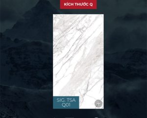 Eurotile SIG-TSA Q01