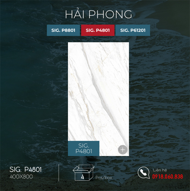 Sig-P4801 Sig-P4801