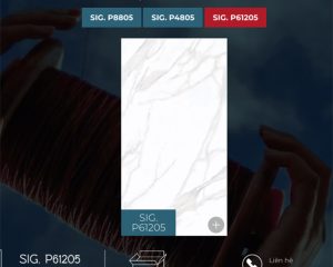 bst thuy phong sig p61205