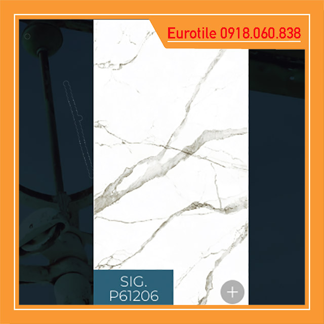 chieu phong sig p61206 chieu phong sig p61206