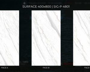 eurotile Sig-P4801