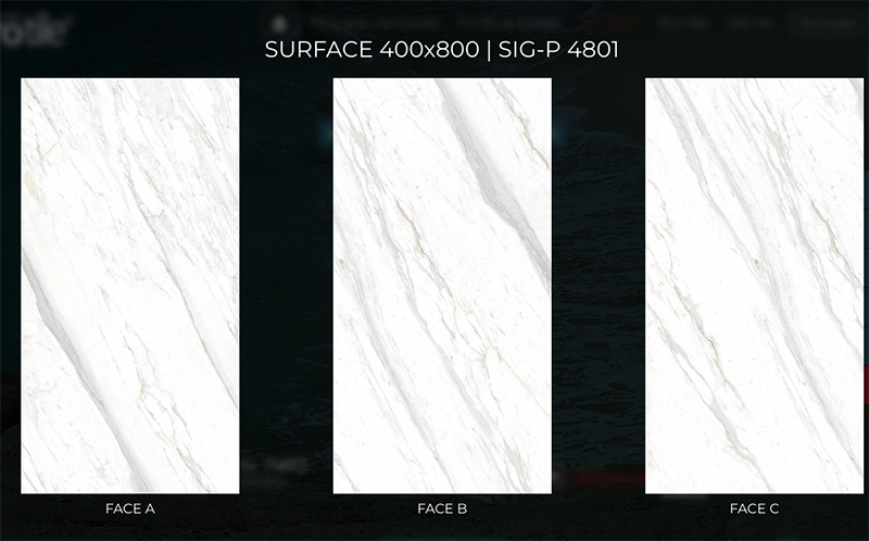 eurotile Sig-P4801 eurotile Sig-P4801