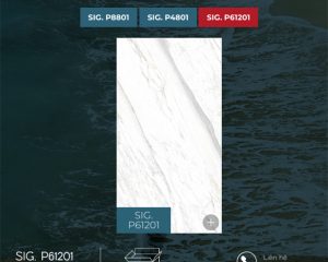 eurotile hai phong sig-p61201