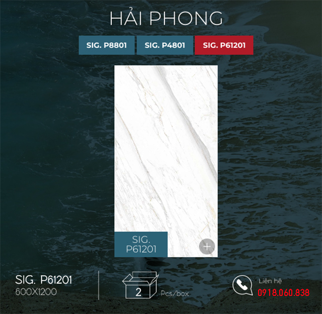 eurotile hai phong sig-p61201 eurotile hai phong sig-p61201