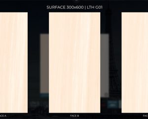 eurotile luu thuy LTH G01