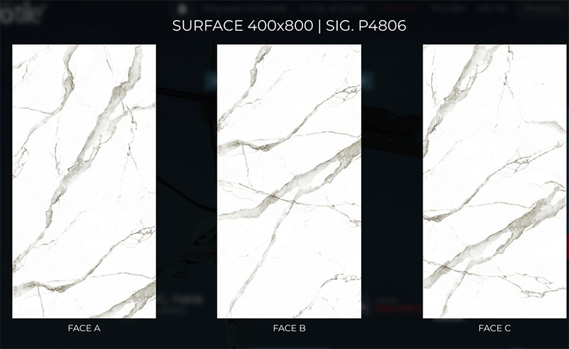 face chieu phong sig p4806 face chieu phong sig p4806