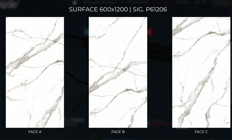 face chieu phong sig p61206 face chieu phong sig p61206