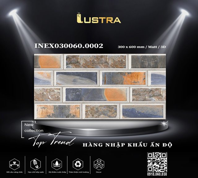 inex030060-0002