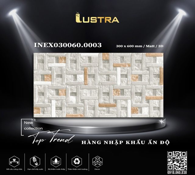 inex030060-0003