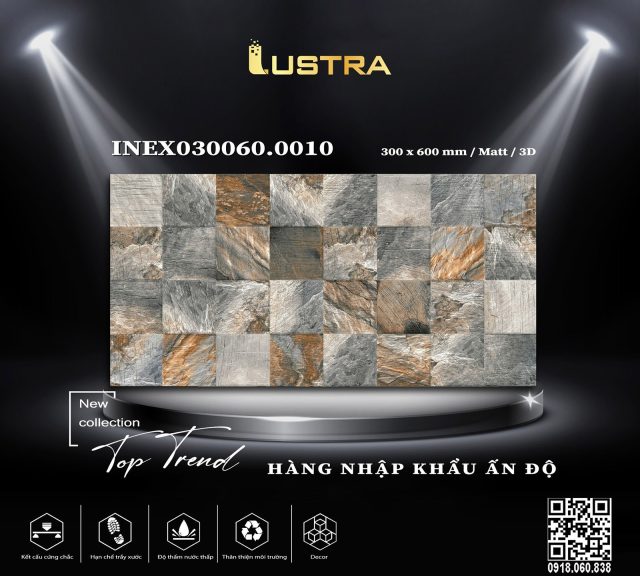 inex030060-0010