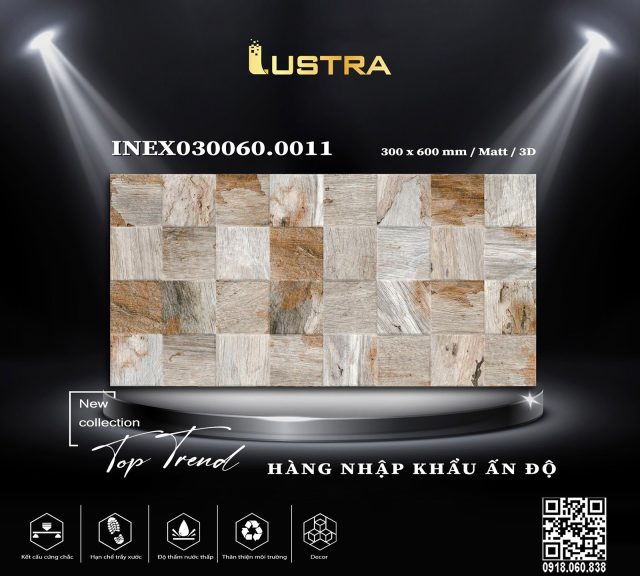 inex030060-0011
