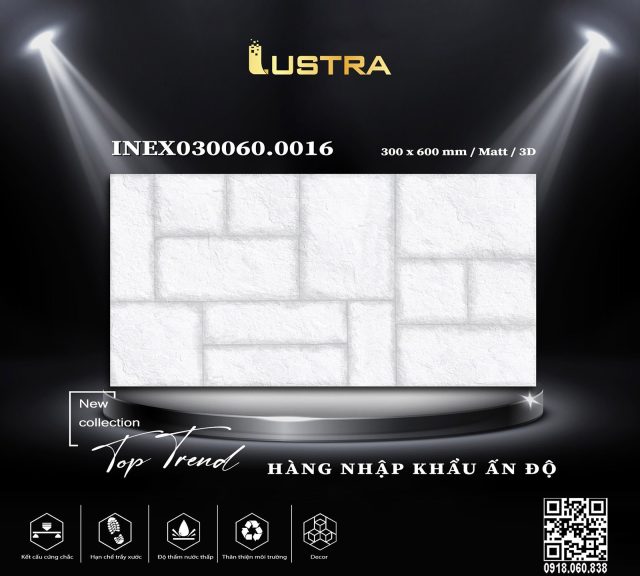 inex030060-0016