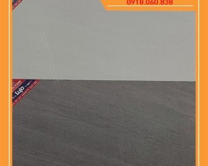 LGM36-0280 LGM36-0281