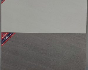 lgm36-0280 LGM36-0281