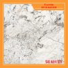 sig-nhv e01