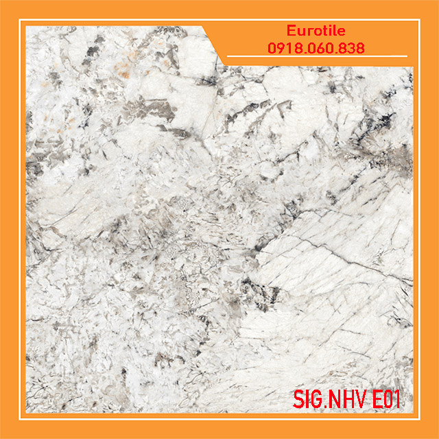 sig-nhv e01 sig-nhv e01