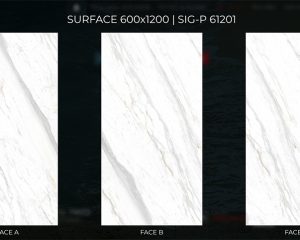 sig-p61201