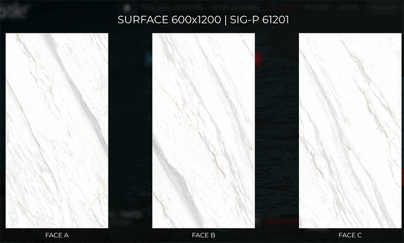 sig-p61201 sig-p61201