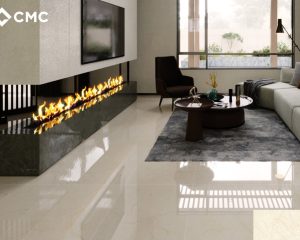 phoi canh CPG6012011S3